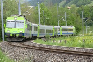 bls_npz_s-bahn_simmental